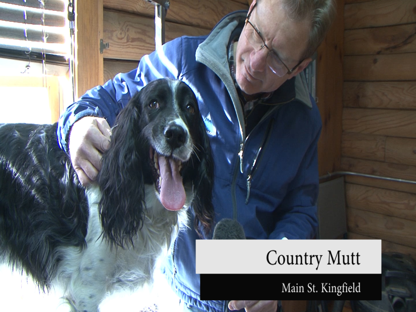 Country Mutt Complete grooming services! WSKI TV 17
