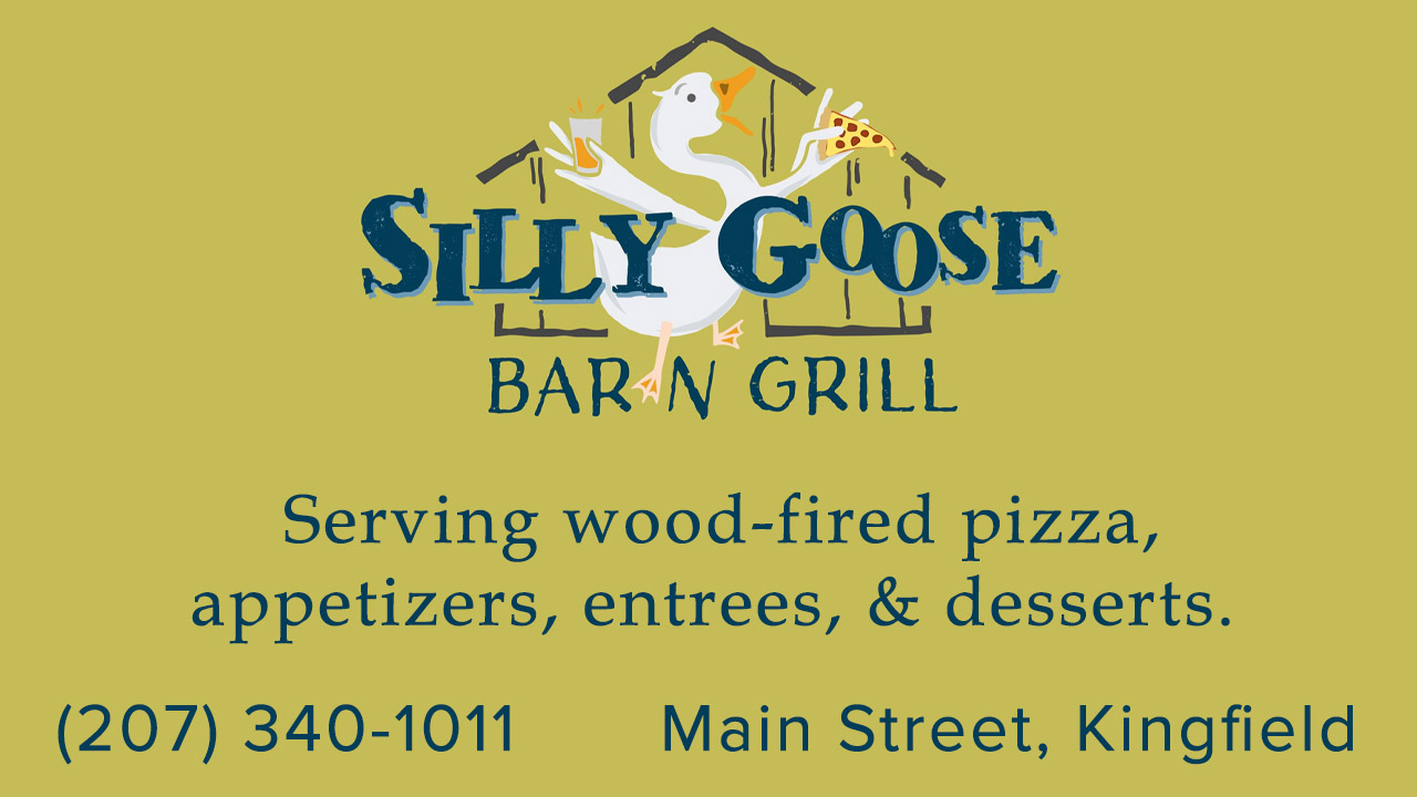 Have you checked out the Silly Goose Bar & Grill yet!? - WSKI TV 17